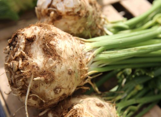 Céleri rémoulade CEE2