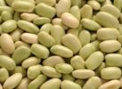 Flageolets verts fins CEE2 EXPRESS