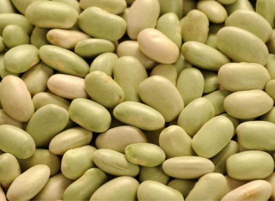 Flageolets verts fins CEE2 EXPRESS