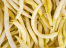 Haricots beurre CEE2