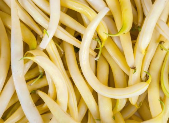 Haricots beurre CEE2