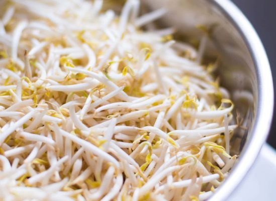 Pousses de haricot mungo