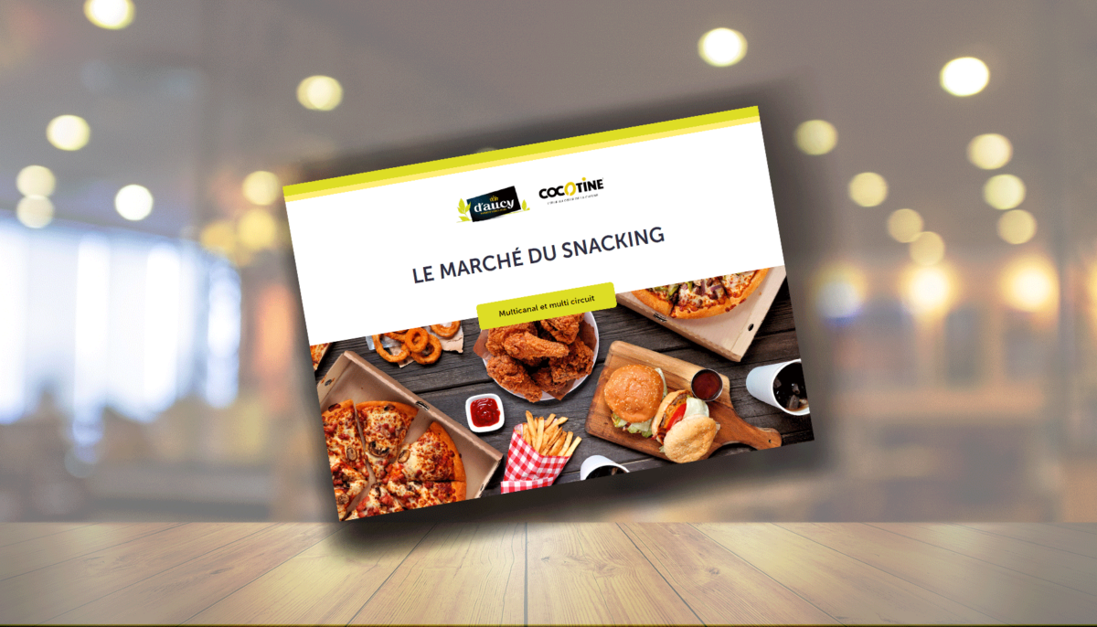 mock-up-barometre-le-snacking-en-france-2024-daucy-cocotine