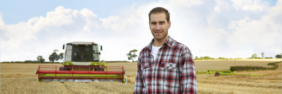 Immergez-vous dans nos productions de légumes et d&rsquo;oeufs !