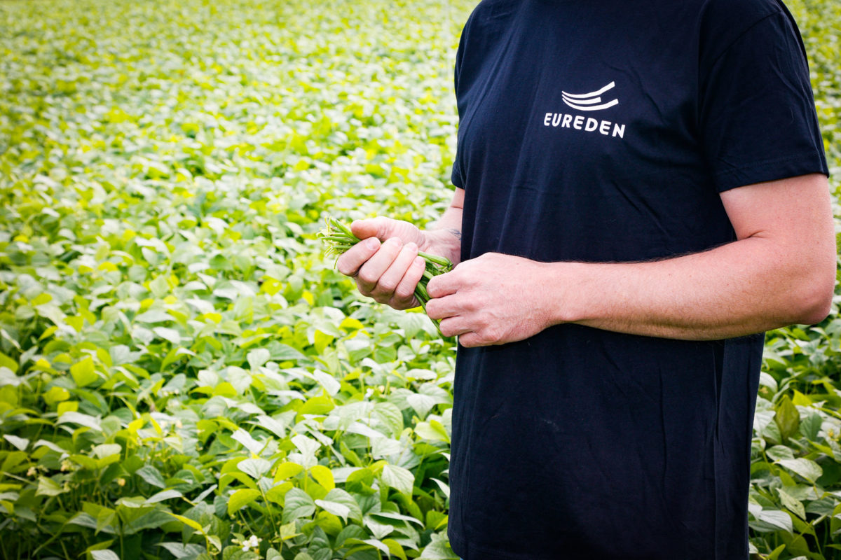 photo1-page-producteur-Agriculture-Sylvain-Hascouet