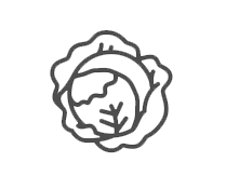 picto-dfs-producteurs-choux