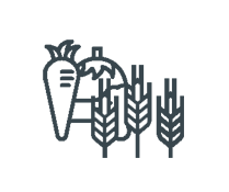 picto-dfs-producteurs-legumes-et-cereales