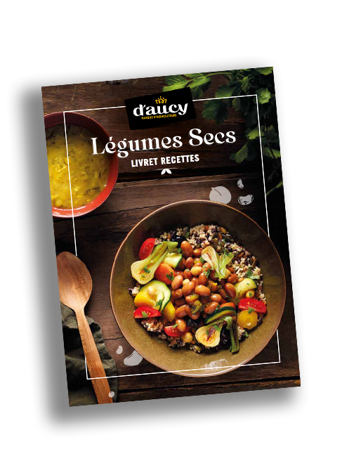 mock-up-livret-recette-legumes-secs