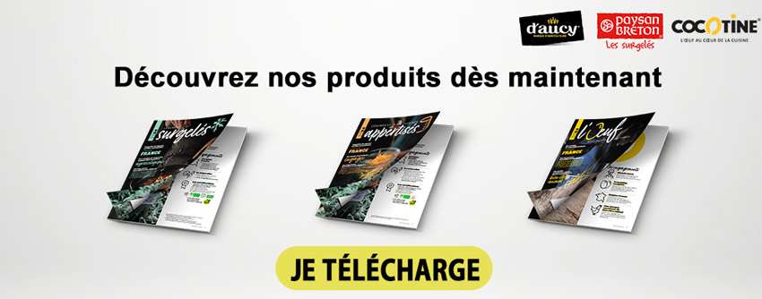CTA-catalogues