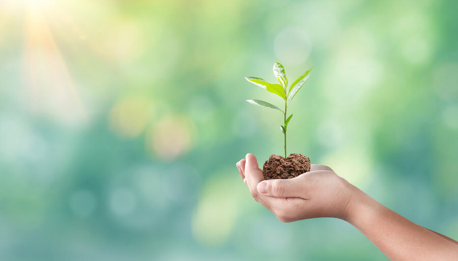 La certification bio : processus et garanties pour les fournisseurs