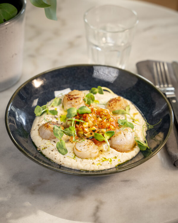 purée-de-céleri-2kg5-daucy-express-recette-SAINT JACQUES POÊLÉES SUR UN LIT DE PURÉE DE CÉLÉRI